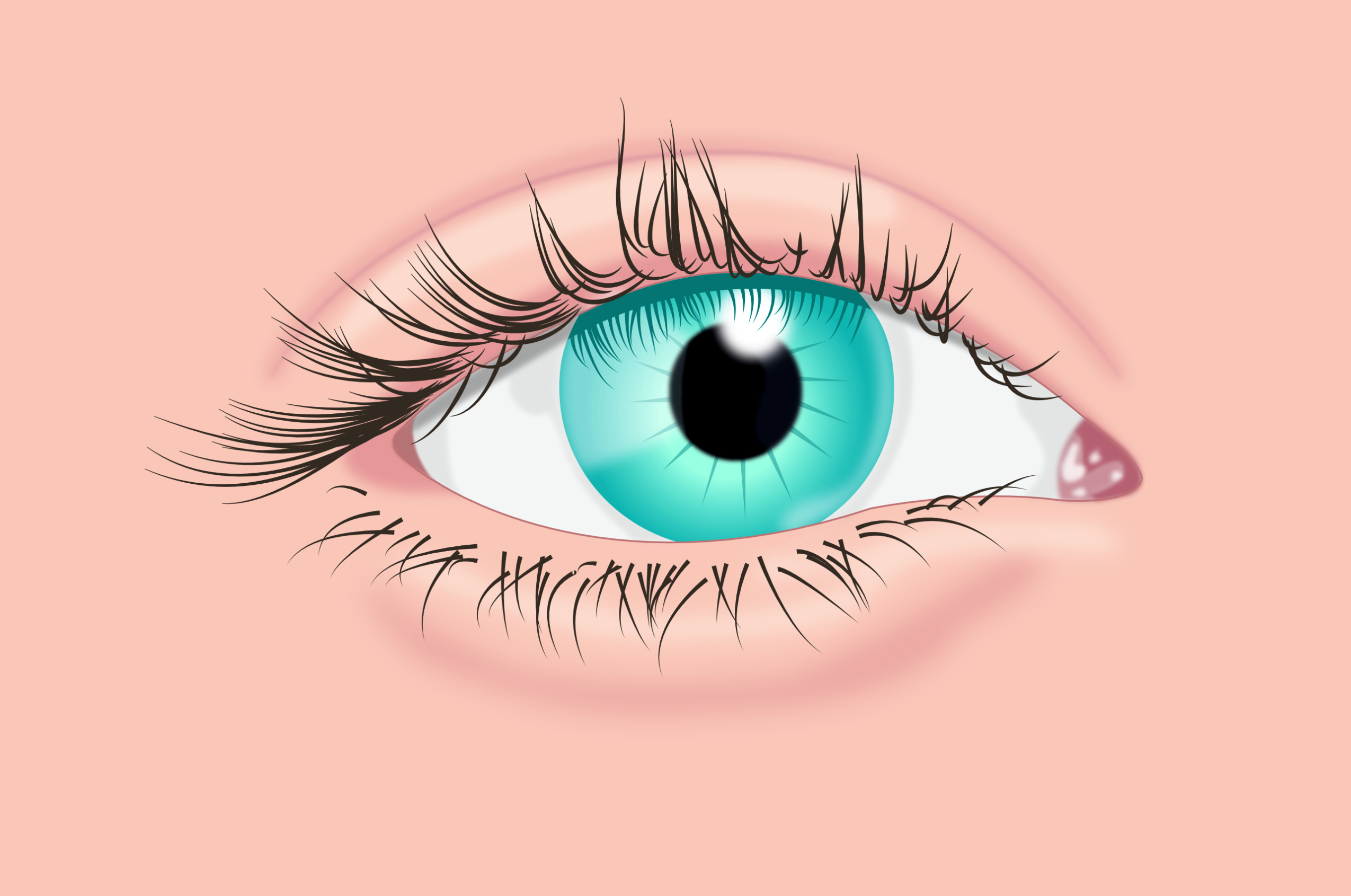 Medizinische Illustrationen