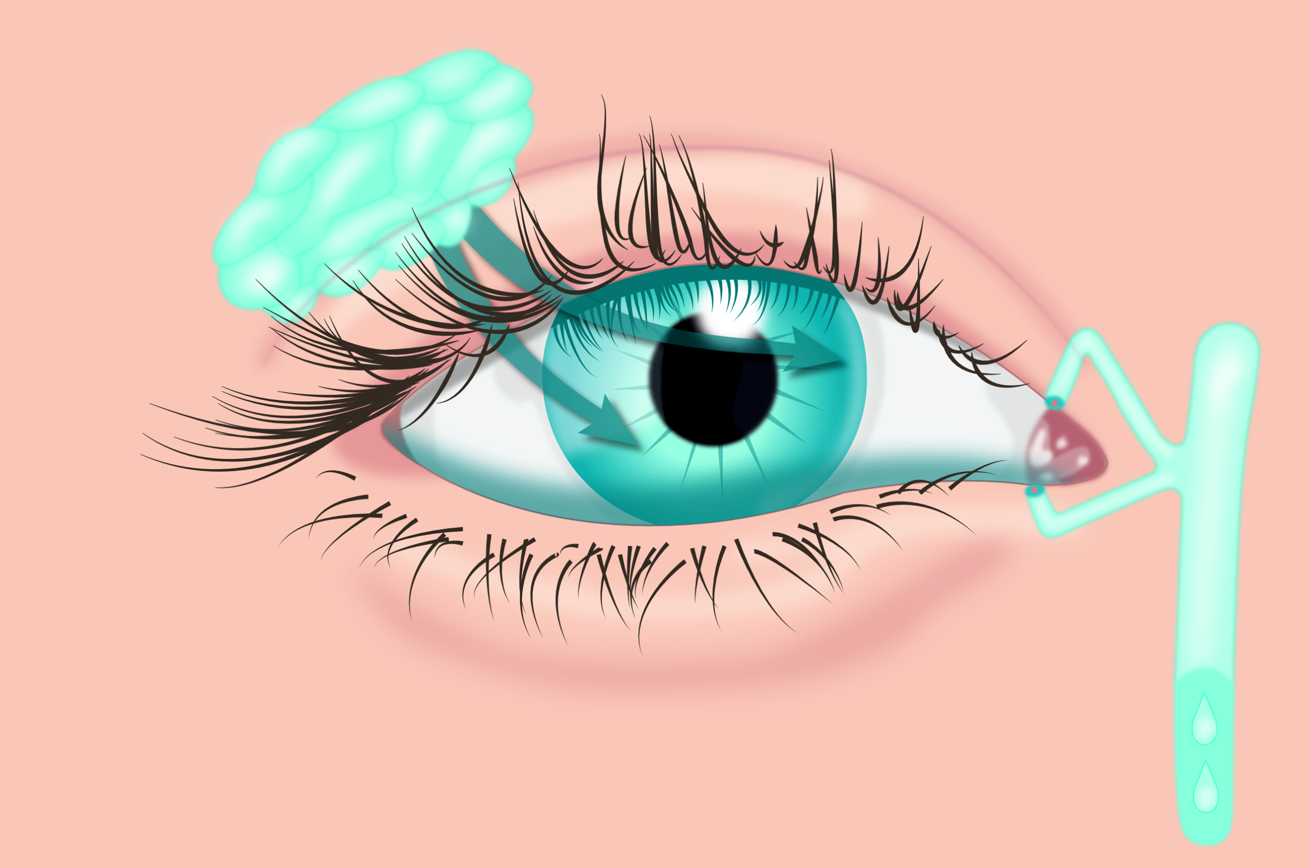 Medizinische Illustrationen