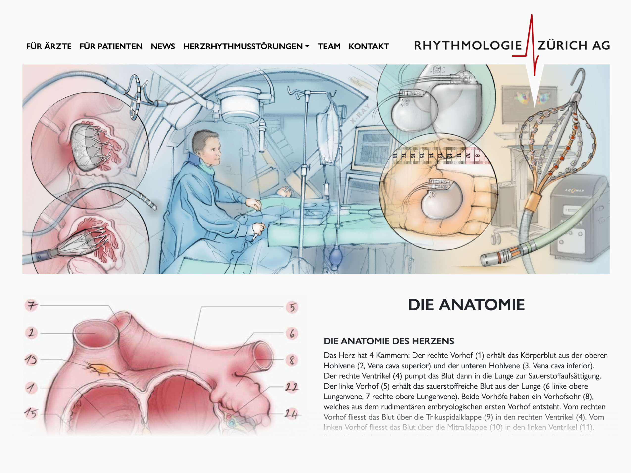 Logo und Website Arzt Gesundheitswesen