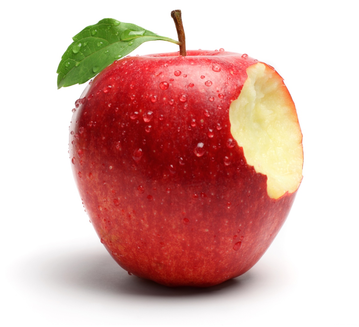 20 Jahre spinazze.ch