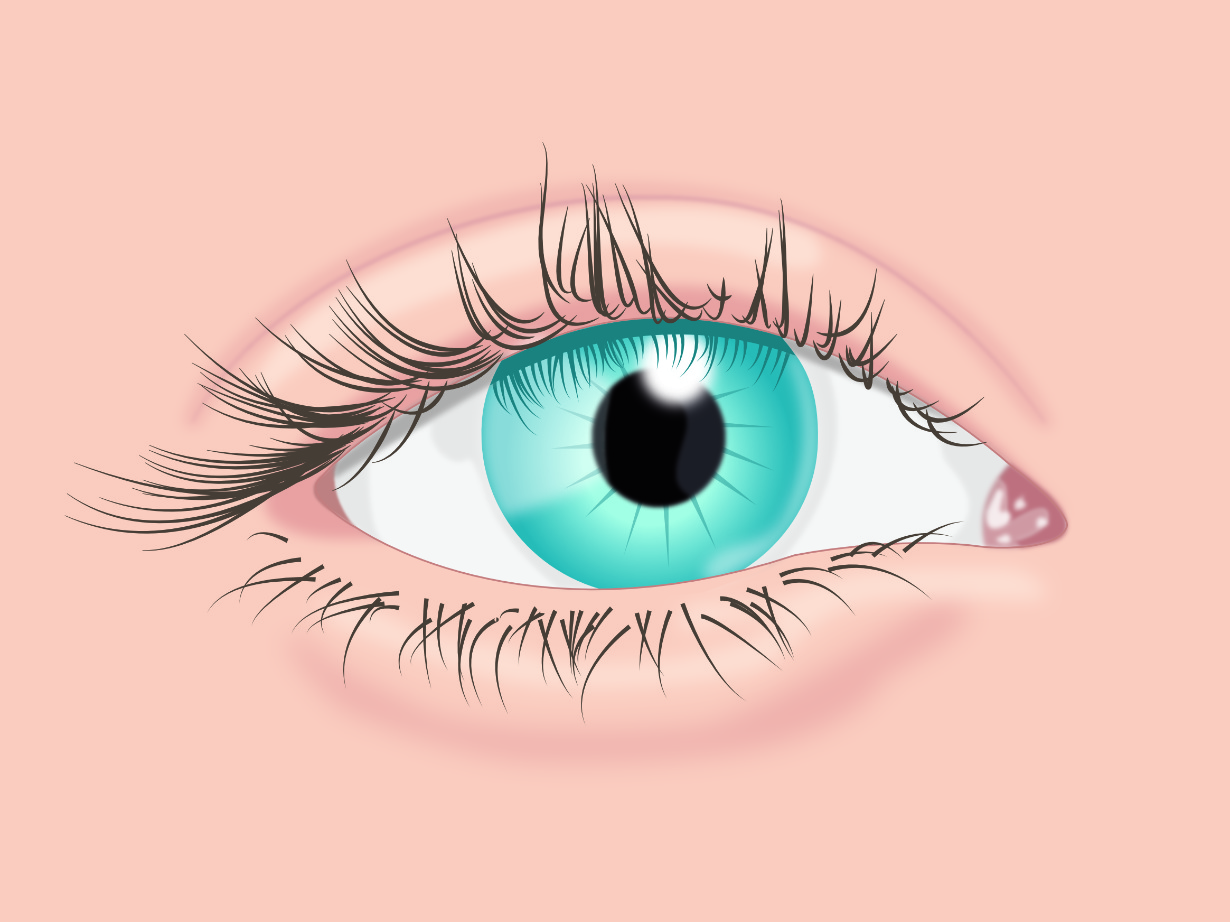 Medizinische Illustrationen